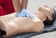 Attestation de Formation aux Gestes et Soins d'Urgences de Niveau 2 (AFGSU2)